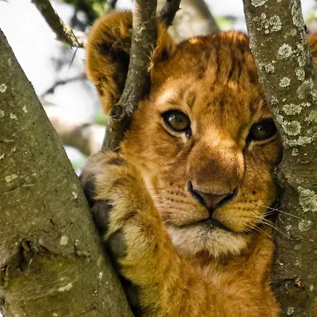 Classic E5 Centre Privat bolig